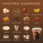 Decaf Mushroom Instant Coffee  14 Mushrooms dietary product  Large 80 Servings | Lions Mane  Reishi  Chaga  Cordyceps  Shiitake | Energy Focus Immunity | Decaffeinated Instant Coffee Powder  8.5 Oz