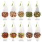 Tea Forte Herbal Tea Chest with Handcrafted Pyramid Infusers, 4.44 Ounce (Pack of 1)