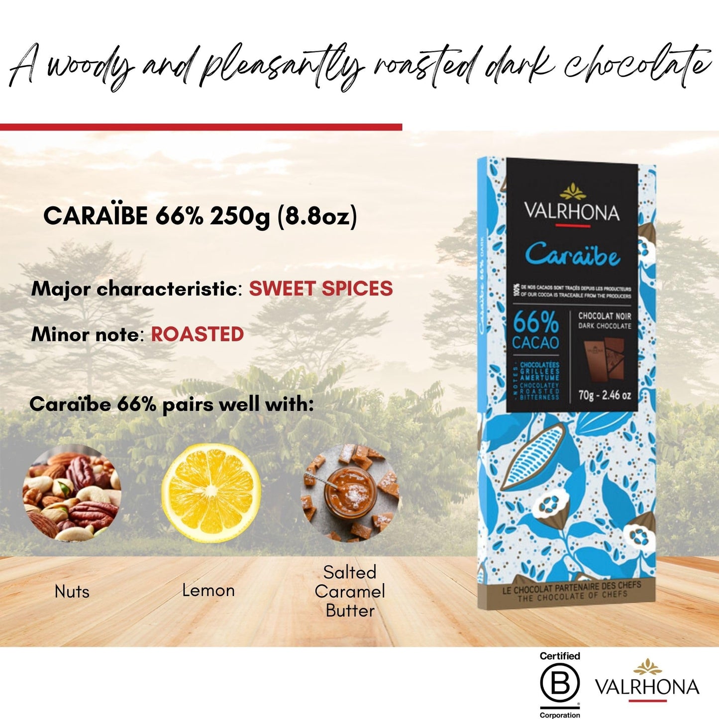 VALRHONA Dark Chocolate Tasting Bar 66% Cacao, Gourmet French Chocolate, 70g (Pack of 3), 10cm x 5cm x 1cm