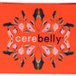 Cerebelly Organic 8-9 Months Variety Pack Baby Purees 3 Count, 4 Oz