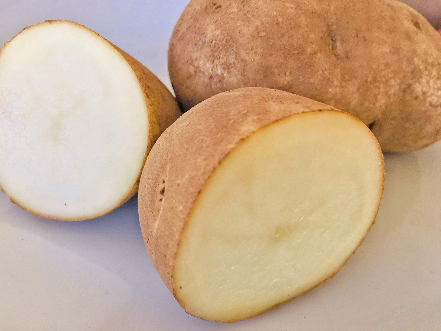 Kejora Fresh Russet Potatoes - Non Gmo & Gluten Free - 8 Lbs