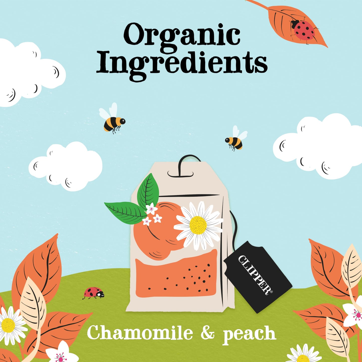 Clipper Tea Chamomile & Peach Teabags - Usda Organic, Great Hot Or Iced - Natural, Fair & Delicious Fruity Chamomile & Peach Inf