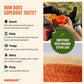 Superoot Natural Ginger Shot + Superfood Drink Mix - Immunity, Hydration & Wellness + Vitamin C Blend - Powder Juice Mix For Det