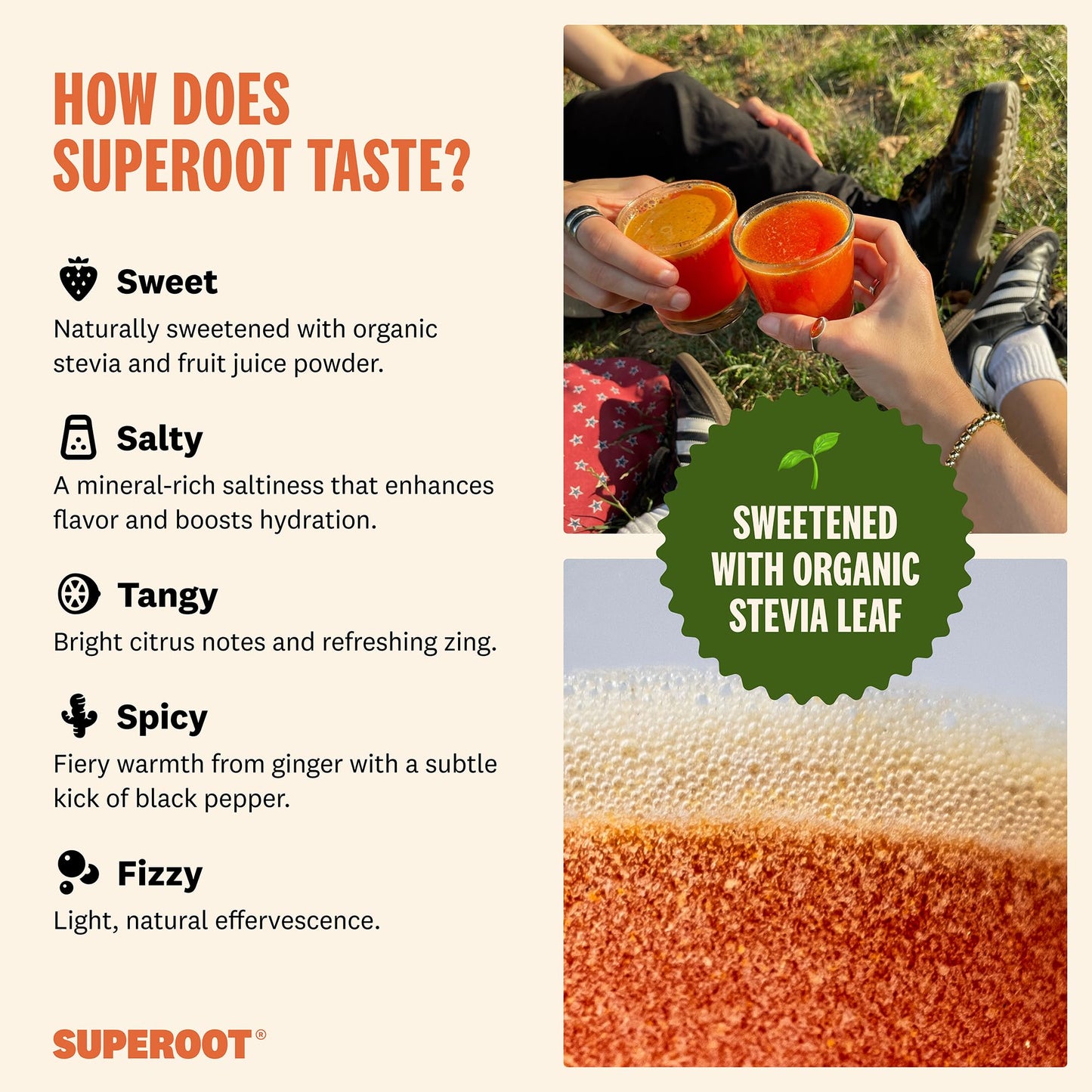 Superoot Natural Ginger Shot + Superfood Drink Mix - Immunity, Hydration & Wellness + Vitamin C Blend - Powder Juice Mix For Det