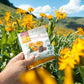 Unsulfured Turkish Apricots - Organic Apricots Dried Fruit Snacks - Healthy Snacks For On The Go & Post Workout Snacks - Non-Gmo