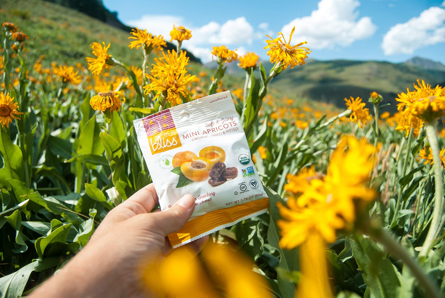 Unsulfured Turkish Apricots - Organic Apricots Dried Fruit Snacks - Healthy Snacks For On The Go & Post Workout Snacks - Non-Gmo
