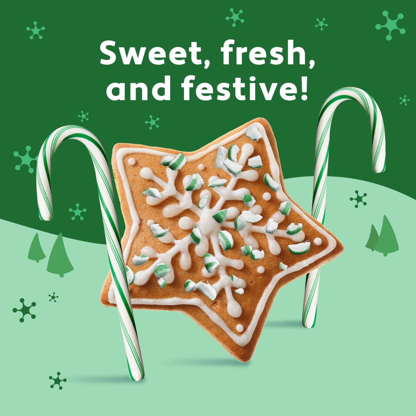 Brach'S Wintergreen Christmas Candy Canes, Minty Twist On A Holiday Classic, 12Ct - Perfect For Stocking Stuffers, Holiday Gifti