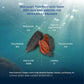 ROSALYN Premium Atlantic Canada Wild Caught Sea Cucumber Dried - Butterfly Cut - 454g (16oz) - Canadian Certified