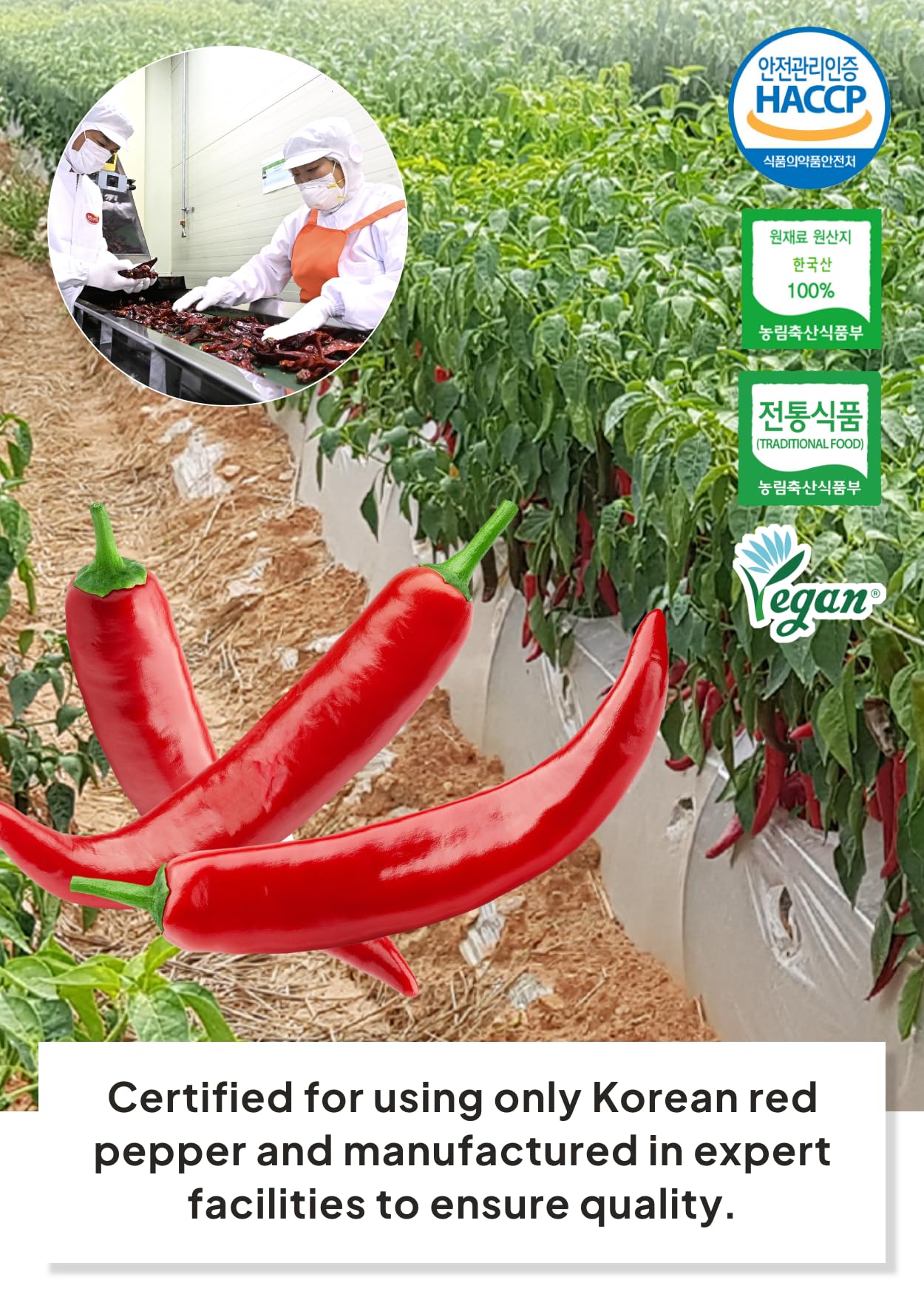 Korean Food 100% Korean Chili Powder Bundle - Fine (3.53Oz / 100G) & Coarse (3.53Oz / 100G) Red Pepper Powder For Soups, Stir-Fr