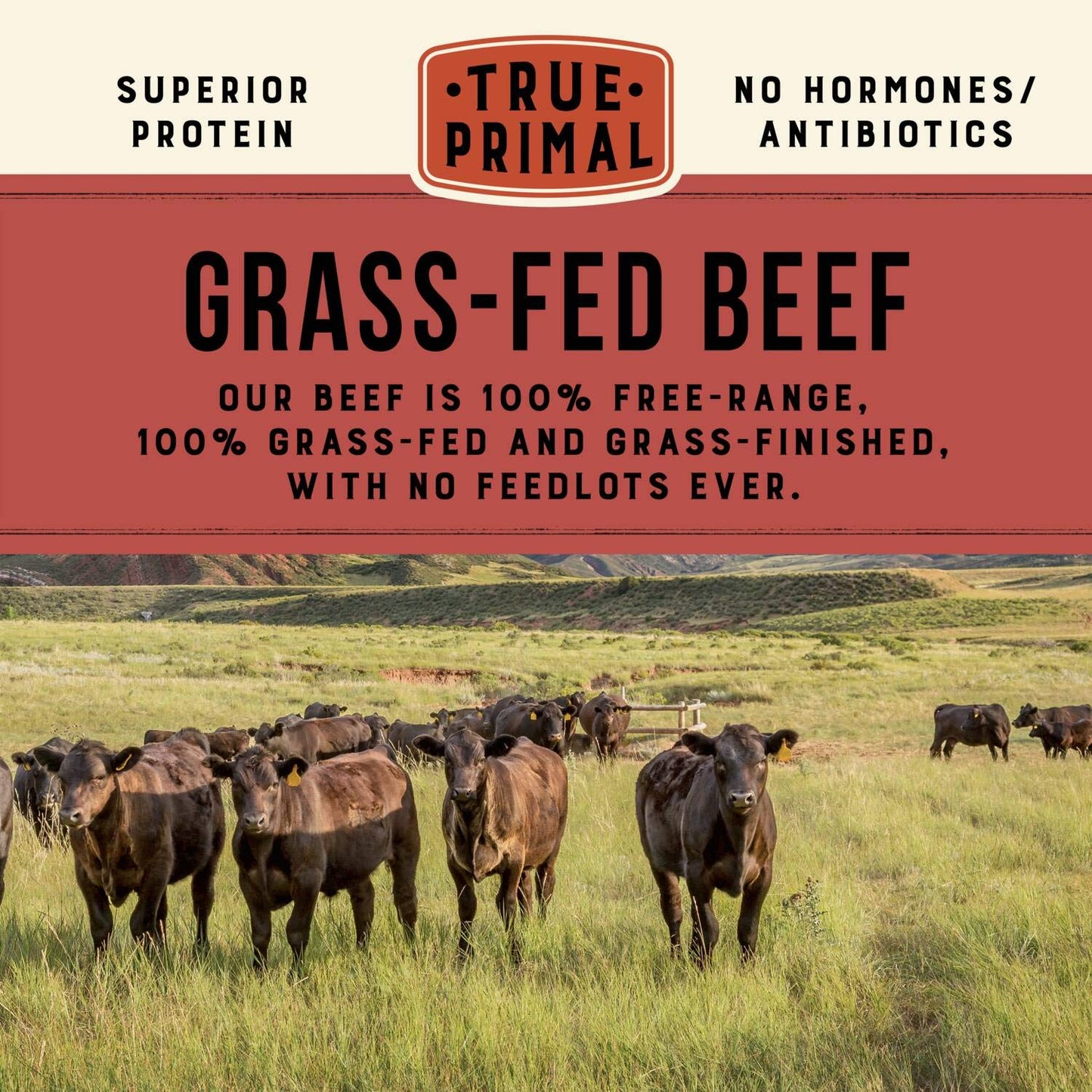 True Primal Hearty Beef Organic Soup 8-Pack, Ready To Eat, Gluten Free, Paleo, Grass-Fed Beef, Whole30, Keto