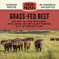 True Primal Beef Chili 8-Pack, Gluten-Free, No Beans, Paleo, Keto, 16 oz Ready to Eat, Grass-Fed Beef, Whole30 Approved