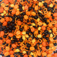 Halloween Sprinkles I 3.5 Oz I Orange And Black Sprinkles I Pumpkin Sprinkles I Cake Cupcake Toppers Cookie Dessert Sprinkles De