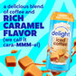 International Delight Iced Coffee, Caramel Macchiato, 15 Fl Oz (Pack Of 12)