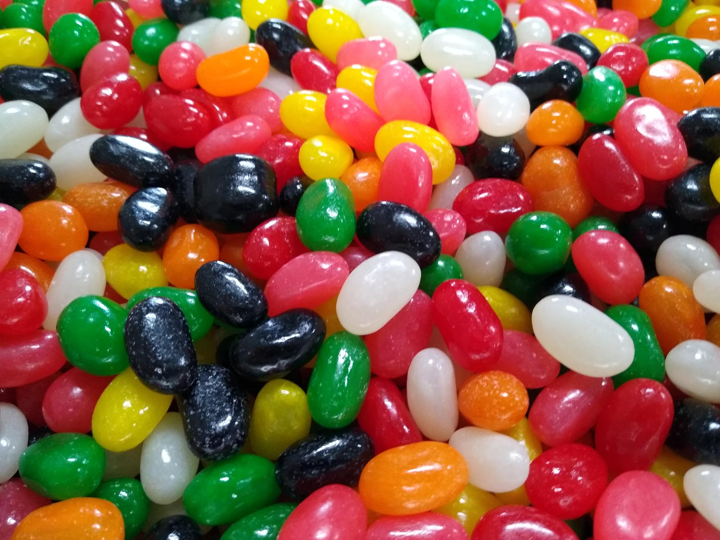 Jumbo Assorted Spiced Jelly Beans - 1 lb of Fresh Delicious Extra Large Licorice Sassafras Peppermint Clove Cinnamon Spearmint J