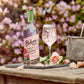 Belvoir Organic Elderflower Rose Lemonade - 25.4 Fl Oz - Delicate Floral Flavor - No Artificial Preservatives