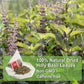 FullChea Holy Basil Tea Bags - 40 Tulsi Teabags, Caffeine-free, Non-GMO, Supports Digestion, Boosts Immunity