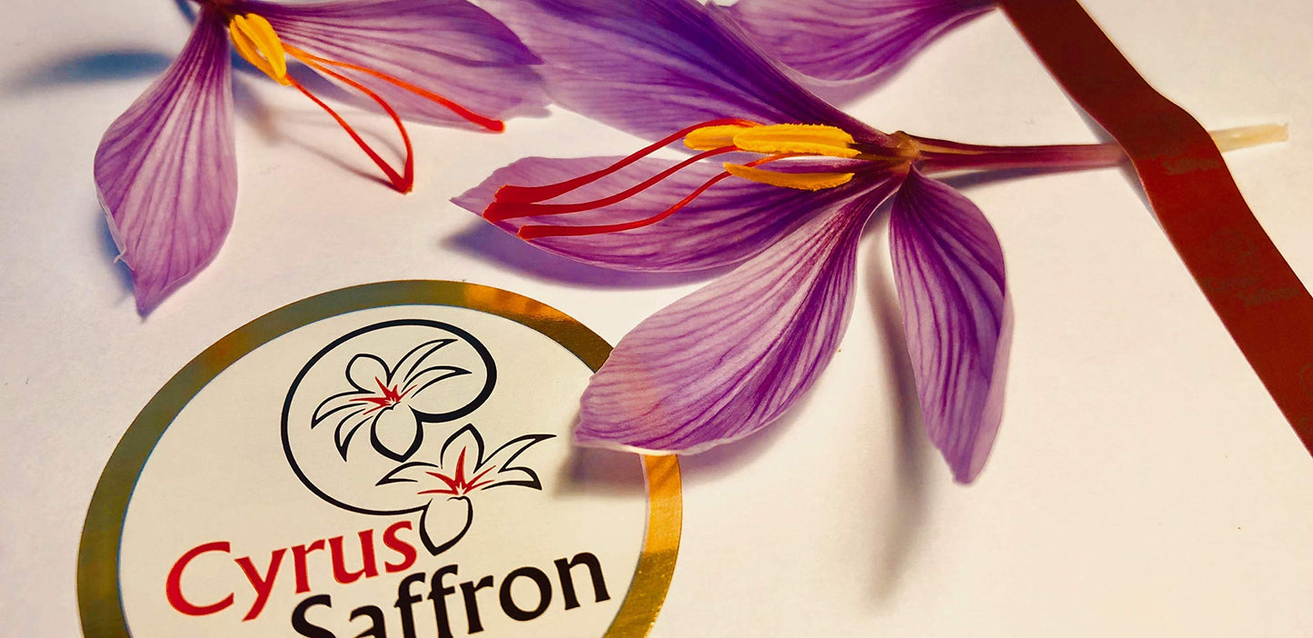 Cyrus Saffron Organic USA Grown Saffron - 1 Gram, Premium Quality Spice