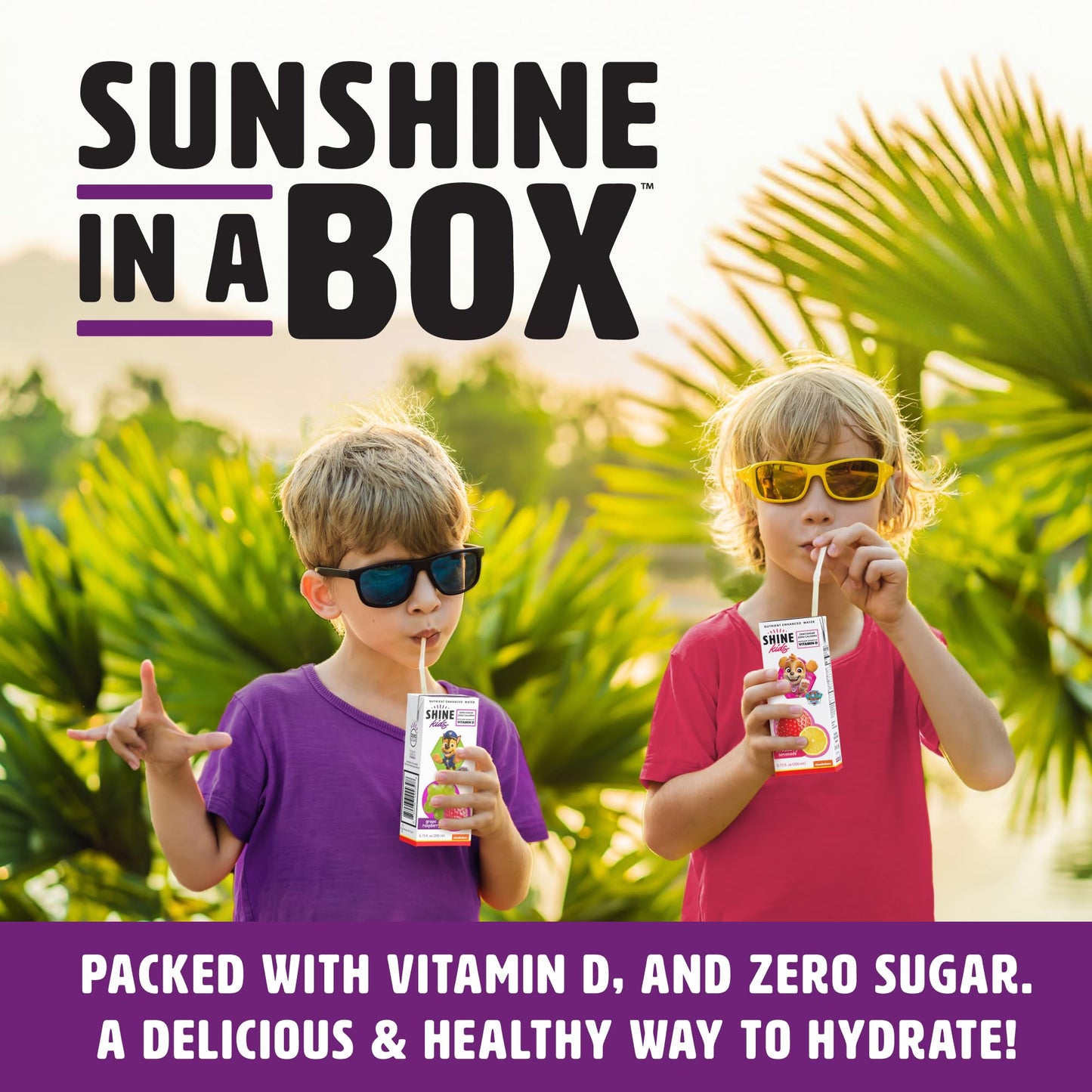 Shinekids X Paw Patrol Vitamin D Juice Box Healthy Drinks For Kids, Grape Raspberry, 32 Pack, Sugar Free Kids Juice Boxes, 0 Cal