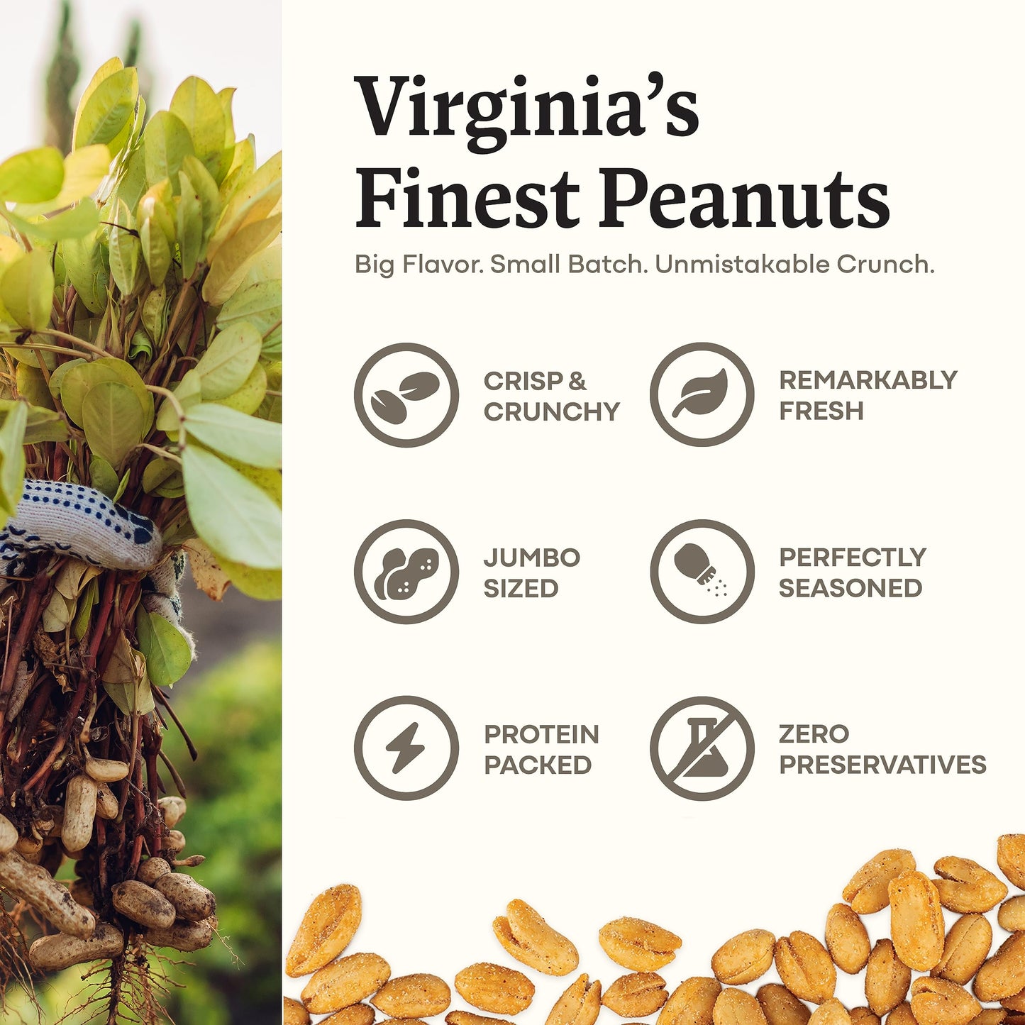 Belmont Peanuts Gourmet Chipotle & Sea Salt Peanuts, 20 oz, No Preservatives, 7g Protein, Hand Seasoned Snack