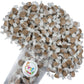 All Flavor Gourmet Salt Water Taffy (Chocolate, 2 Lb)