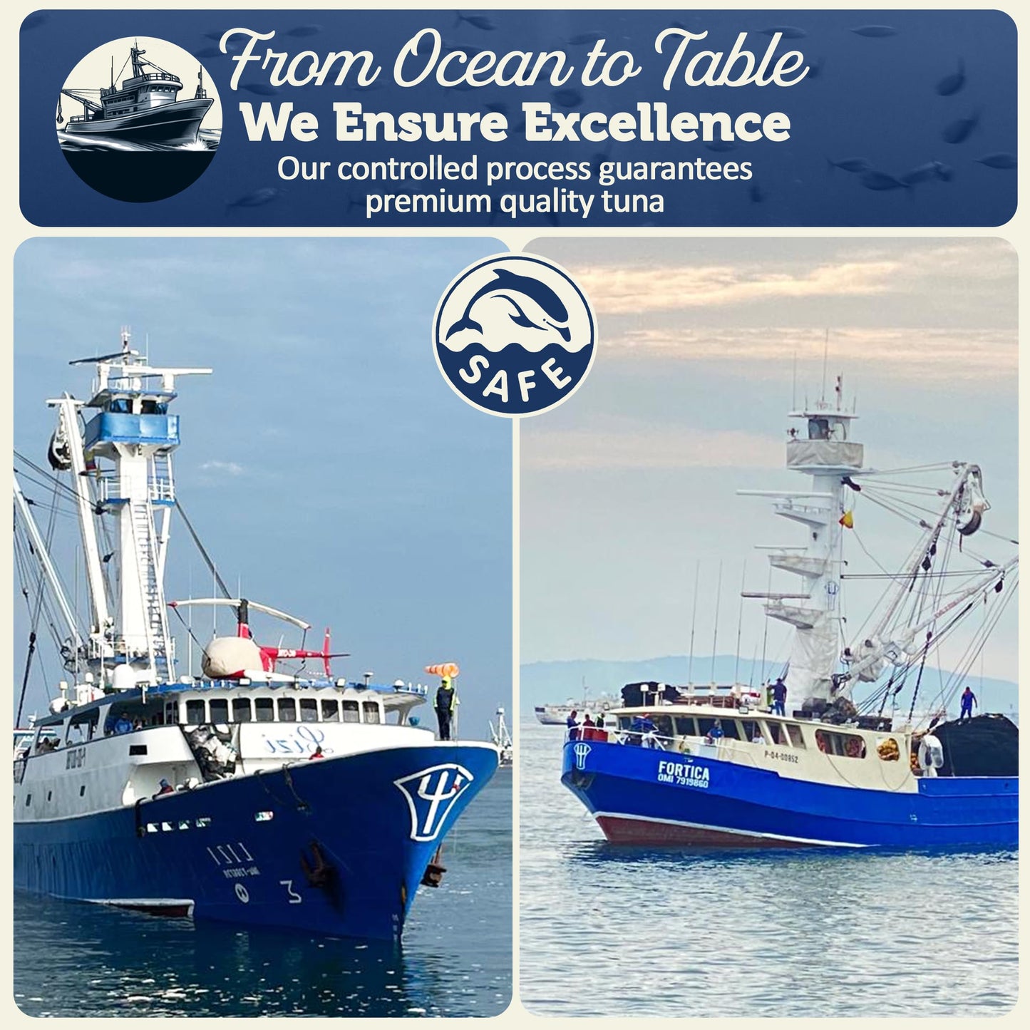 Onboard Premium Yellowfin Tuna In Spring Water - 12 Pack Solid Light 5 Oz Cans Sustainably Wild Caught Canned Tuna, Non Gmo, Glu