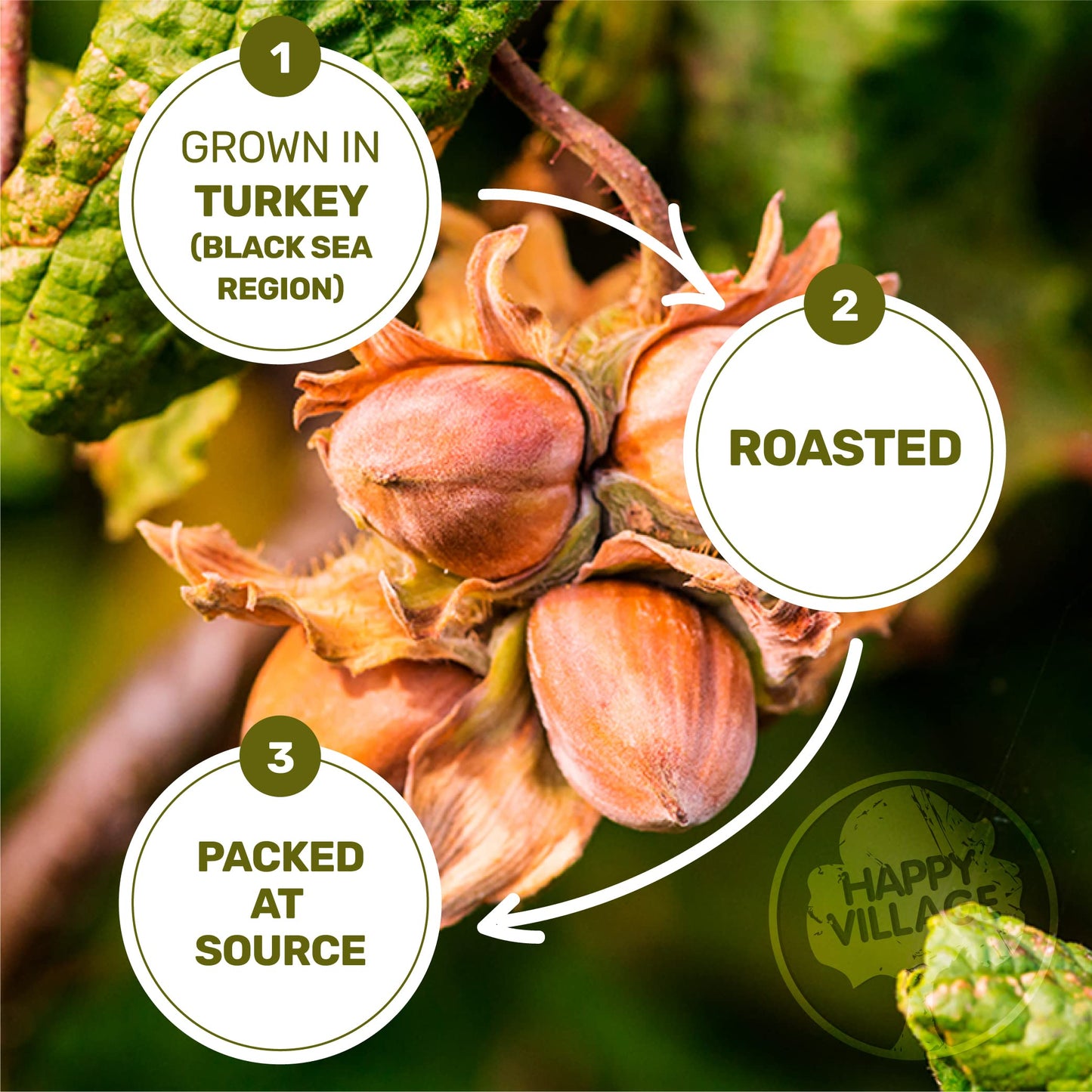 Happy Village Organic Roasted Hazelnuts, 16 OZ Resealable Bag, Roasted and Unsalted, USDA Organic, Non-GMO, Kosher, Vegan, Glute