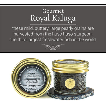 Overnight Shipping- Olma Kaluga Sturgeon Black Caviar - Large Pearly Grains, Smooth Flavor, Superior Grade - 3.5 Oz / 100 G