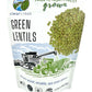Green Lentils | 1 LB | Non-GMO | Vegan | Non-Irradiated (Will Sprout) | Kosher | Vegan | Grown Pacific Northwest