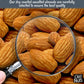 Almonds | Dry Roasted Unsalted Almonds | 2 Lb | No Salt, No Oil All-Natural Protein | Packed In New York Zip-Seal Bag For Exceptional Freshness By Oh Nuts