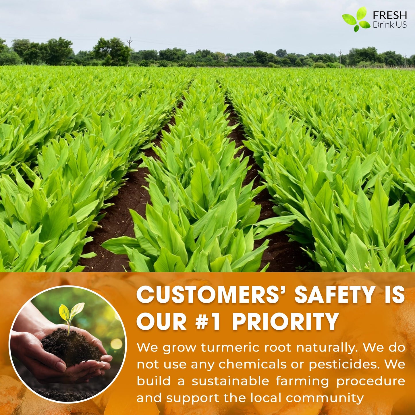 FRESHDRINKUS Turmeric Powder, 100% Natural & Pure, Ground, 2oz, Vegan, Gluten-Free