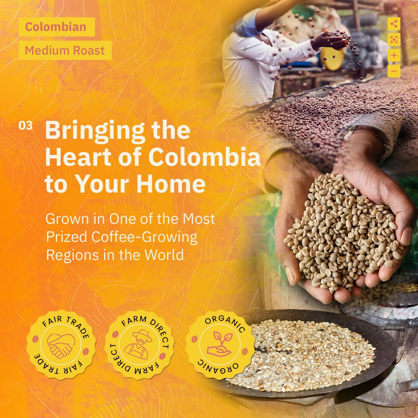 Colombian Medell  N Coffee Beans - Single Origin Medium Roast Coffee Beans, Freshly Roasted To Order Organic Whole Bean Coffee,