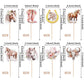 40 Pcs Horse Cupcake Toppers Floral Horse Western Cowgirl Cupcake Picks Horseshoe Hat Boots Cowgirl Birthday Cake Decorations Fo