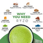 Ryze Mushroom Matcha Starter Kit, Usda Organic With 6 Adaptogenic Mushrooms And Ceremonial-Grade Japanese Matcha, Energy, Focus,