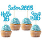 Gyufise 24Pcs Happy 16Th Birthday Cupcake Toppers Glitter Hello 16 Sweet 16 Cupcake Picks Sixteen Years Old Birthday Cake Decora