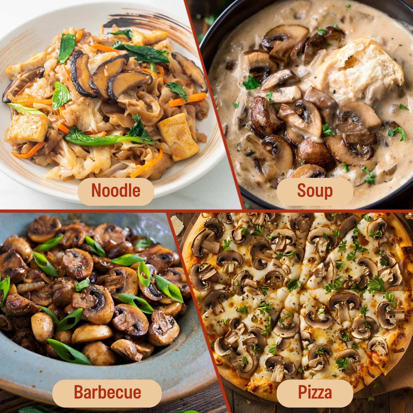 5 Kinds Dried Mixed Wild Mushrooms For Cooking, 5Oz(140G) Dehydrated Mushrooms Including Porcini Shiitake Oyster Portobello Fung