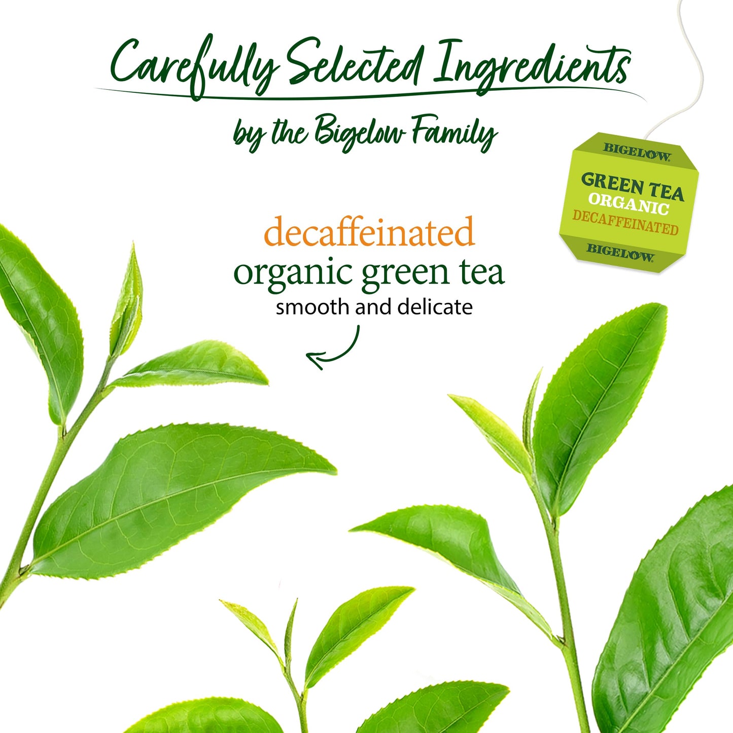 Bigelow Tea, 40 Bags - Organic Decaffeinated Green (2 Pack)