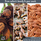 Pecans Halves & Wholes | Raw - 100% Natural | 2 lb | Raw Georgia Pecans | Packed in New York Zip-Seal Bag for Exceptional Freshn