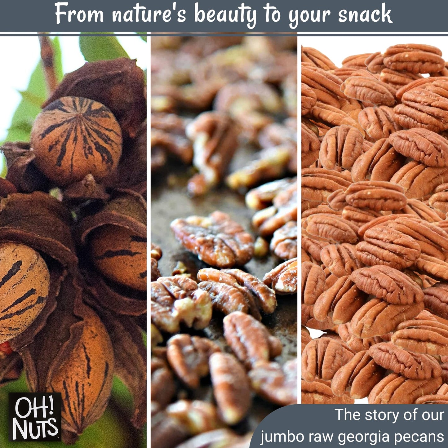 Pecans Halves & Wholes | Raw - 100% Natural | 2 lb | Raw Georgia Pecans | Packed in New York Zip-Seal Bag for Exceptional Freshn