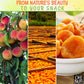 Dried Peaches California | 2 Lb - Dried Fruit Slices | No Sugar Added | Packed In New York Zip-Seal Bag For Exceptional Freshness By Oh Nuts