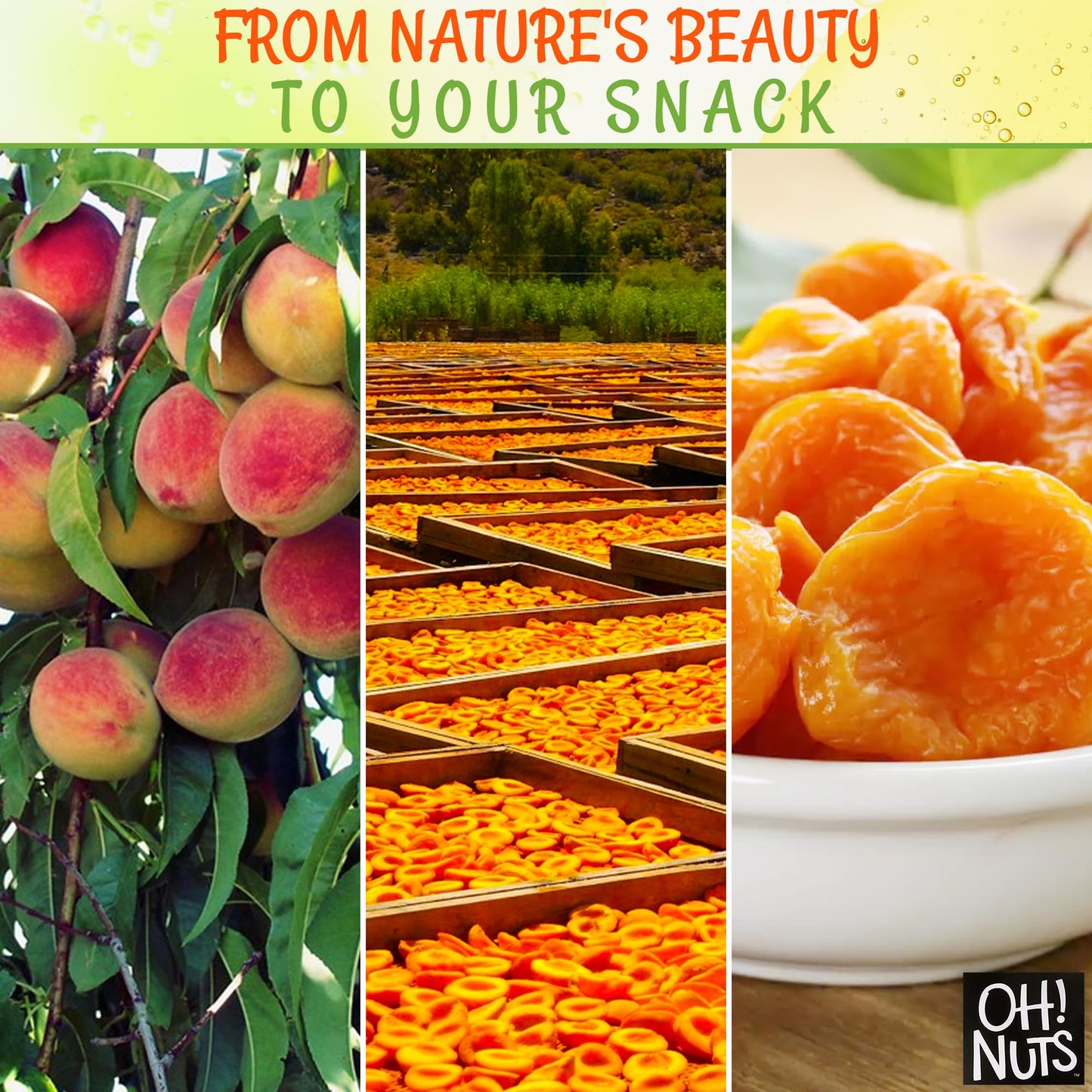 Dried Peaches California | 2 Lb - Dried Fruit Slices | No Sugar Added | Packed In New York Zip-Seal Bag For Exceptional Freshness By Oh Nuts