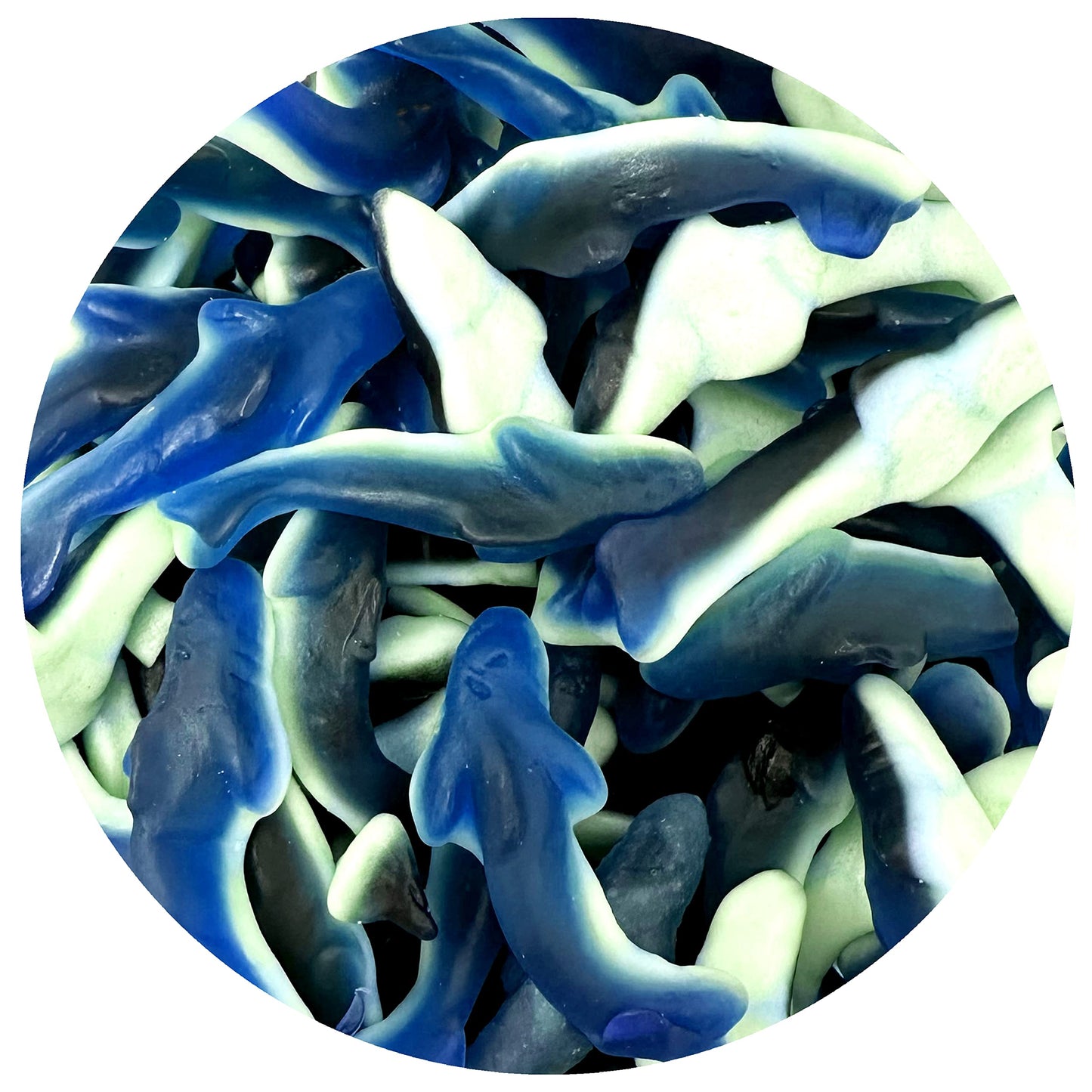 Blue Gummy Sharks Candy, 1 Pound Bulk Bag, The Hampton Popcorn & Candy Company