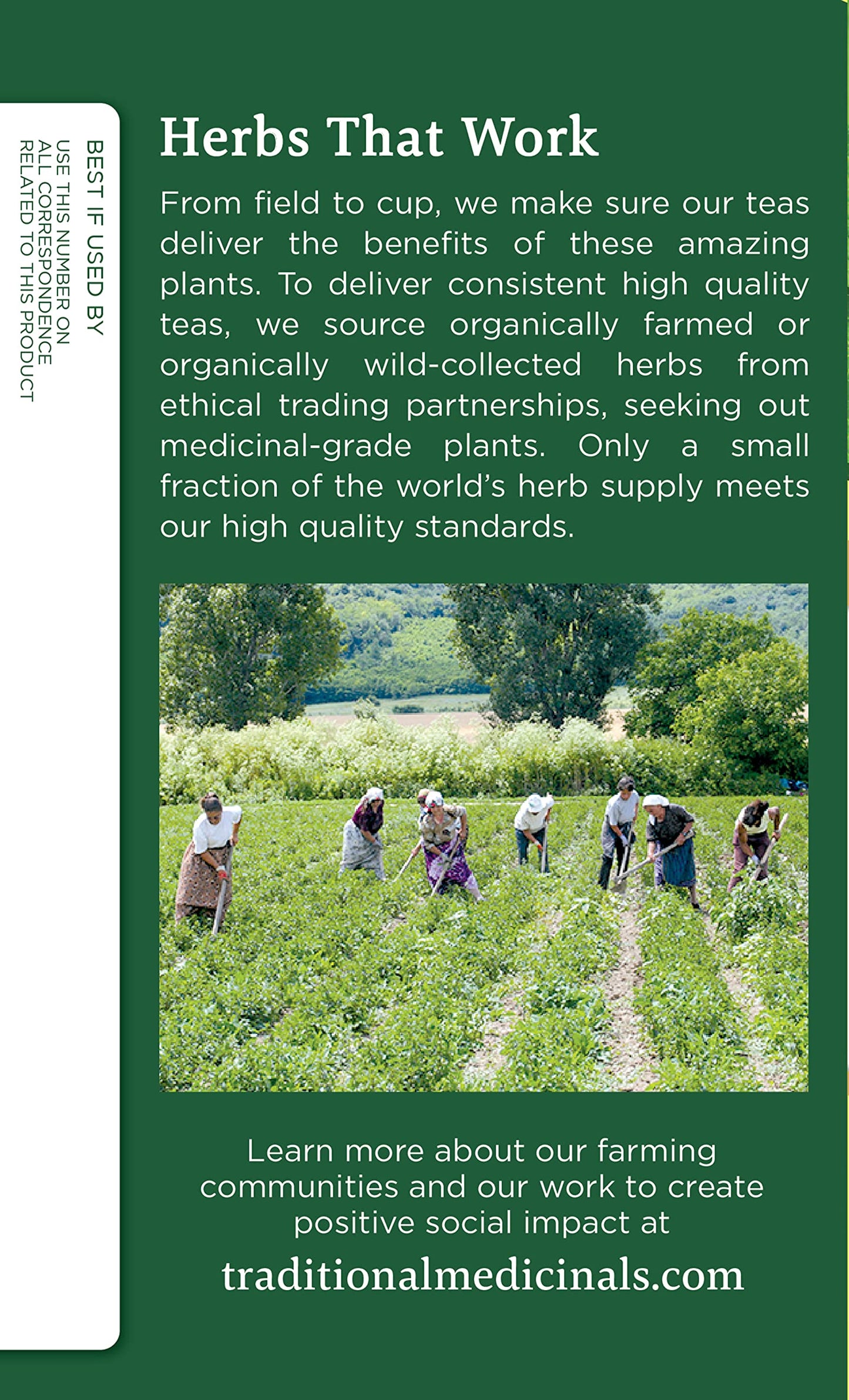 Traditional Medicinals Organic Lemon Balm Herbal Tea - 16 Bags per Pack, 0.85 Ounce (Pack of 6)