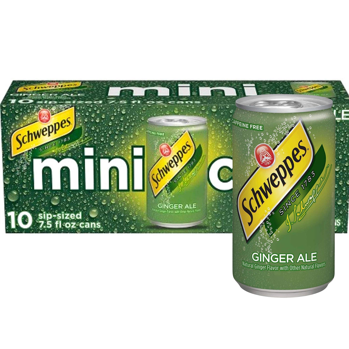 SCHWEPPES - MINI CANS  GINGER ALE  7.5 OZ  10 PK