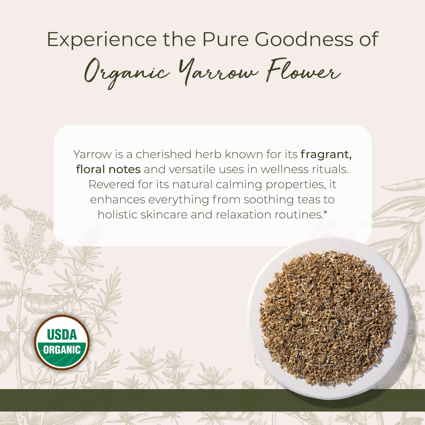 Starwest Botanicals Organic Yarrow Flowers, Cut & Sifted, 1 lb Bag, Certified Kosher, Non-GMO