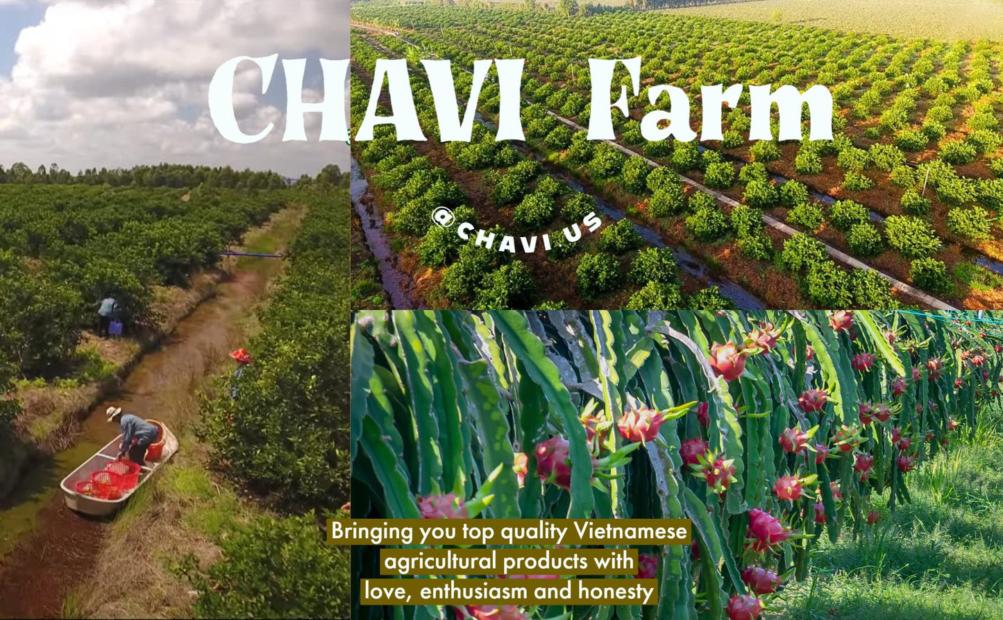 CHAVI Passion Dragon Pink Drink Mix - Natural Pitaya & Passion Fruit - 8 Ounce Superfood
