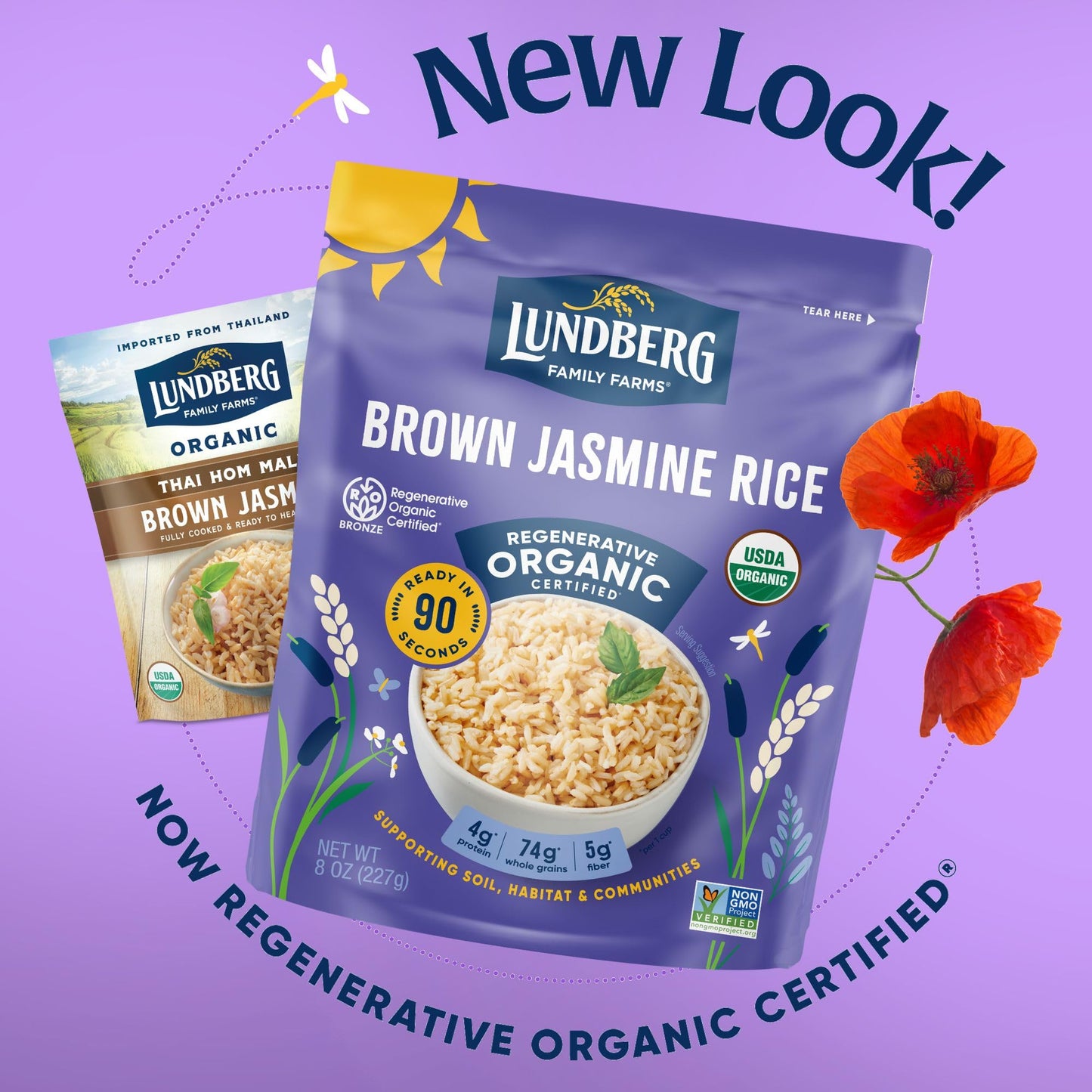 Lundberg Organic Fully Cooked & Ready to Heat Rice, Brown Jasmine Thai Hom Mali Rice, 8oz, Gluten-Free, Vegan, USDA Certified Or