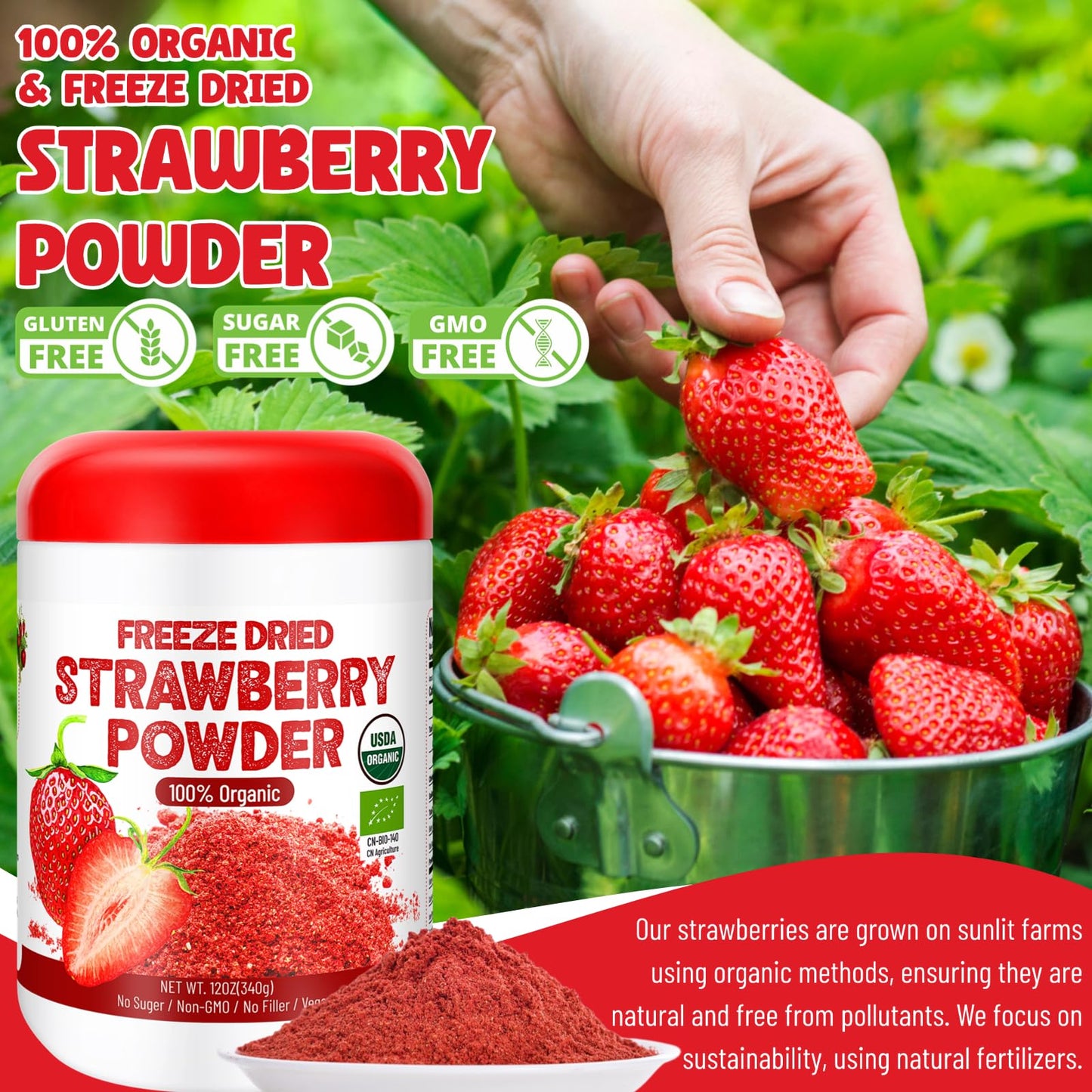 12Oz Organic Freeze Dried Strawberry Powder - 100% Natural Dry Strawberries, No Added Suger, Vegan & Non-Gmo, Strawberry Powder