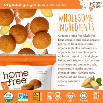 Homefree Mini Ginger Snap Cookies, Organic, Gluten Free, Nut Free, Vegan, Individually Wrapped Packs, School Safe And Allergy Friendly Snack, 0.95 Oz. (Pack Of 10)