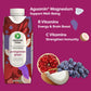 Greater Than Nutrient Hydration Beverage  Electrolyte Drink for Gut Health & Energy with Coconut Water  Vitamins  Gluten Free  Plant Based  Low Sugar  Pomegranate G  24 Pack