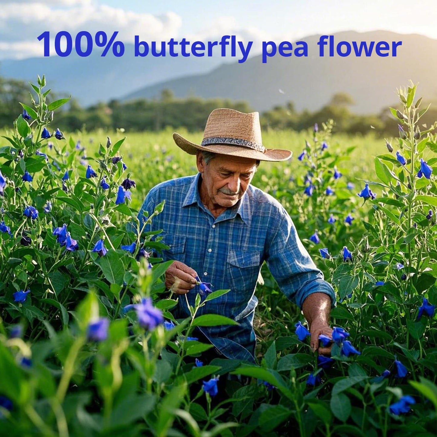 Butterfly Pea Flower Powder 4Oz | Natural Blue Food Coloring For Drinks, Baking, Smoothies | Vegan, Non-Gmo, Gluten-Free, No Add